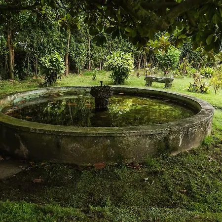 Vendégház Casa Duas Ribeiras Furnas